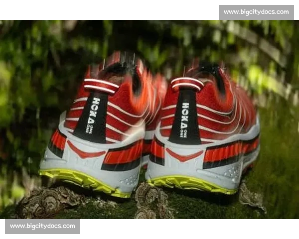 从缓震到抓地力全面解析年度热门运动鞋真实评测指南与选购建议